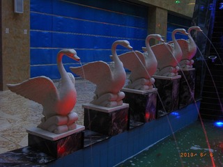 R0018621.JPG