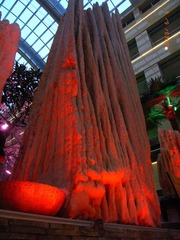 R0018645.JPG