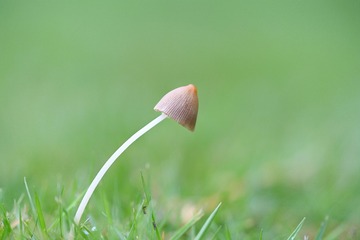 73493
