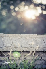 IMG_5351.jpg