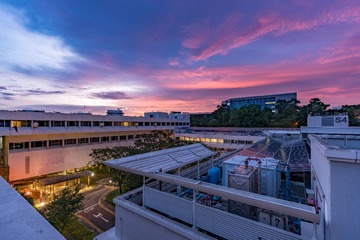 DSC00767-HDR-1