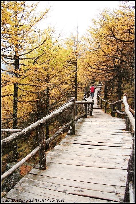 太白山<br />
山间小路