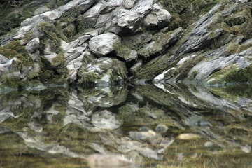 IMG_3621.jpg