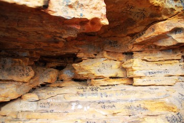 IMG_3780.jpg