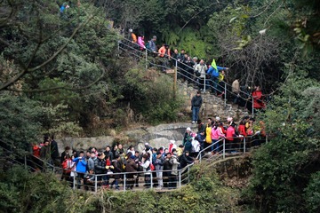 IMG_3787.jpg
