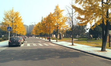 IMAG0960