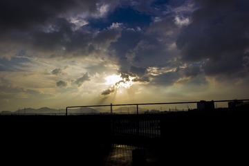 IMG_5296.jpg