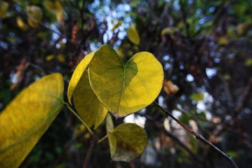DSC_1677=