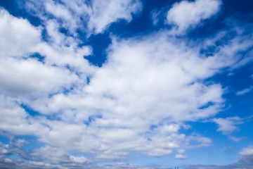 IMG_0079_