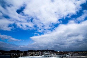 IMG_0075_