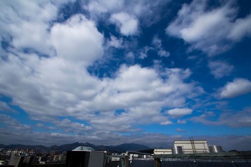 IMG_0082_
