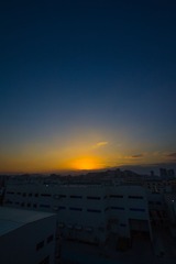 IMG_0535_