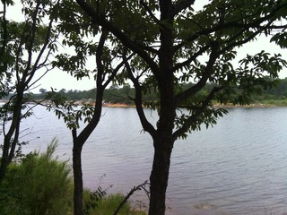 IMG_20130625_124815.jpg