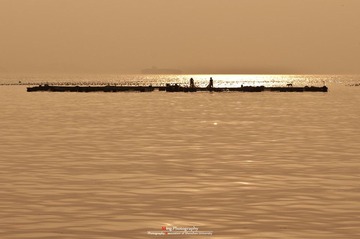 DSC_4852.jpg