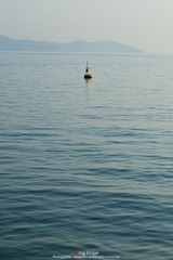 DSC_5324.jpg