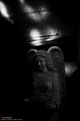 DSC_6710.jpg