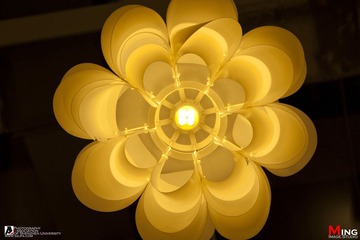 菊花？