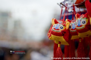 虎年到咯~