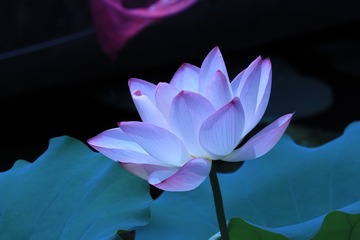 001