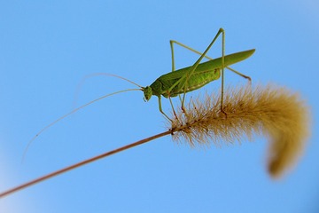 IMG_8551_