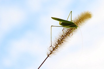 IMG_8537_