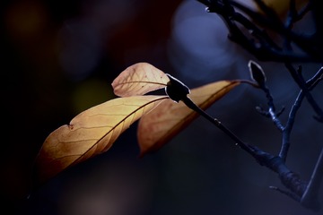 162364