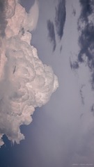 110019