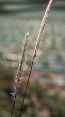109010