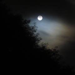 img_3478_副本.jpg
