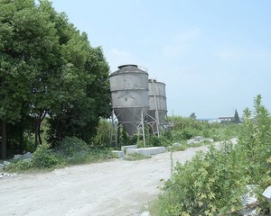 DSG_6696a