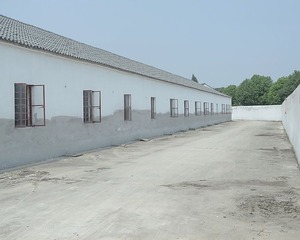DSG_6828a