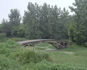 DSG_7015a
