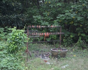 DSG_7027b