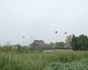 DSG_7224b