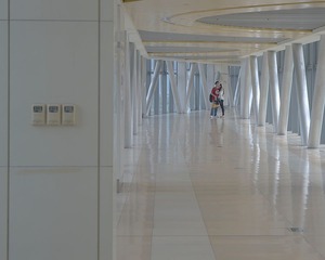 DSG_7588a
