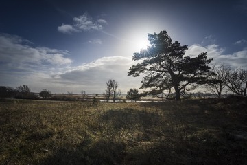 DSG_7406a