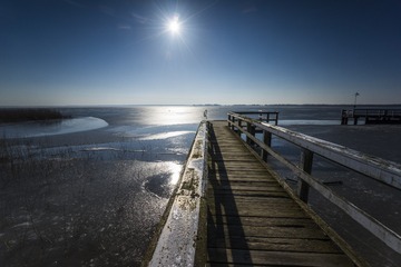 DSG_7569a