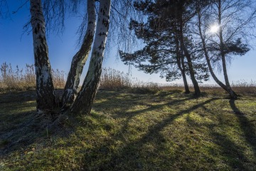 DSG_7653a