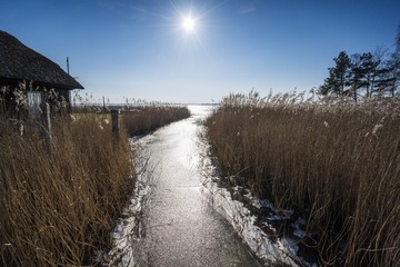 DSG_7765a