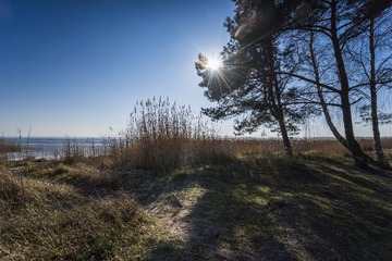 DSG_7824a