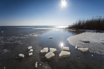 DSG_7871a