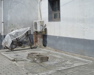 DSG_7403a