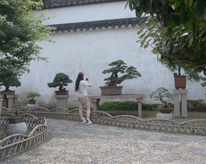 DSG_7529a