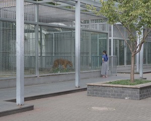 DSG_7852a