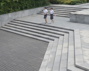 DSG_7564a