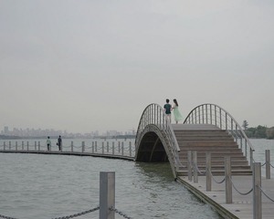DSG_7687a