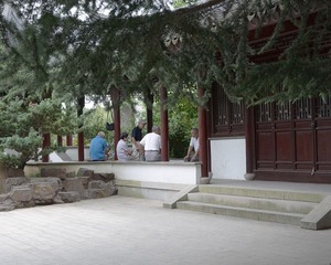 DSG_7757a