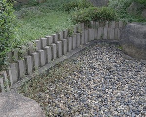 DSG_7791a