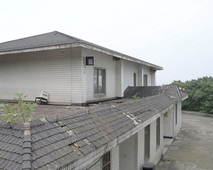 DSG_7990a
