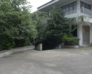 DSG_7999a